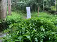 愛宕神社の自然