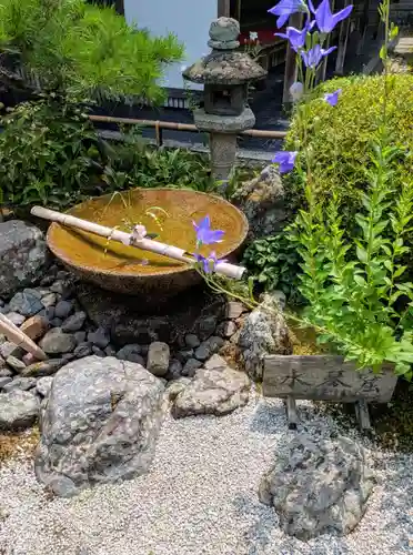 圓光寺(京都府)