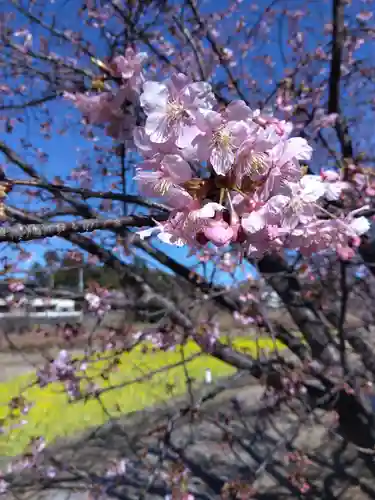 白山神社(静岡県)