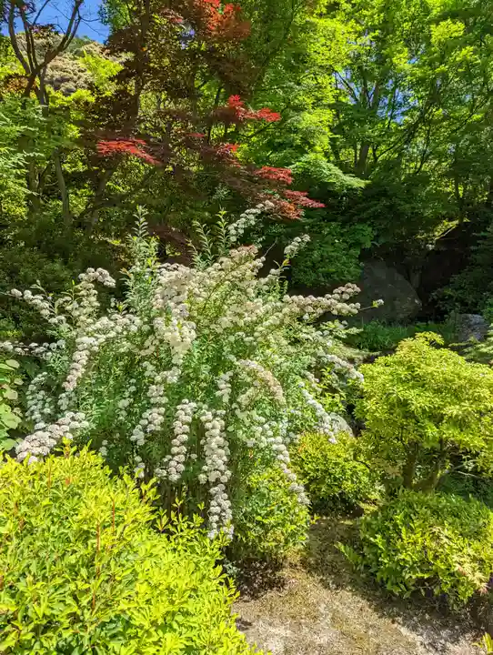 三室戸寺(京都府)