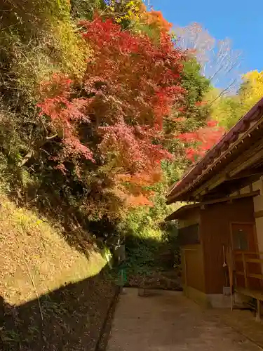 龍本寺の自然