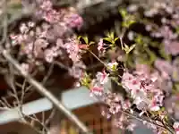 飯沼神社の自然