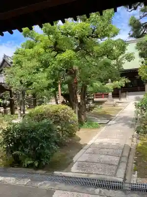 萬福寺のその他建物