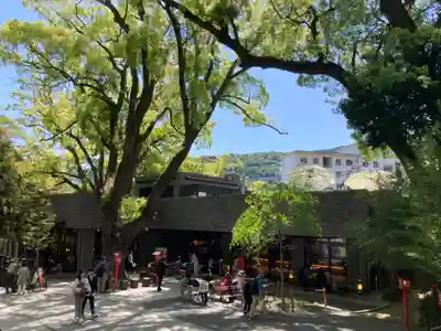 來宮神社(静岡県)