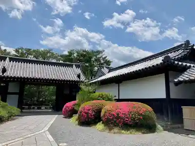 大覚寺(京都府)