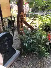 田無神社の建物その他