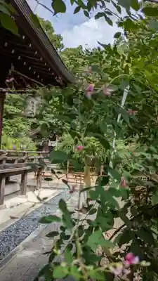 梨木神社(京都府)