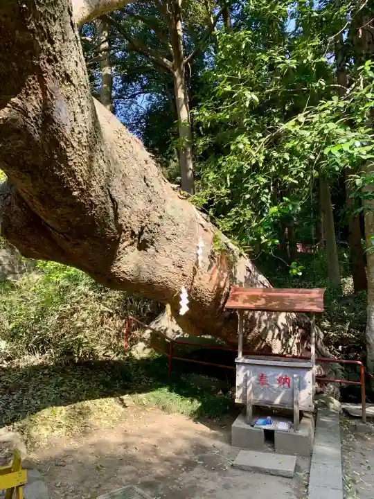 志波彦神社・鹽竈神社(宮城県)