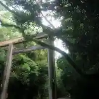 熱田神宮の鳥居