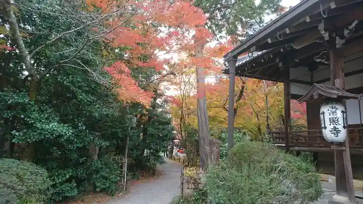 常照寺(京都府)