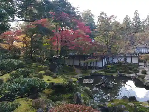 西明寺の庭園