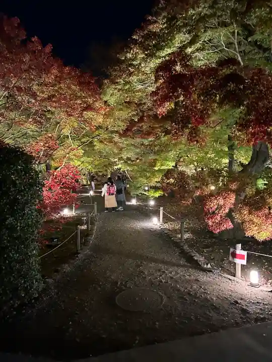 東福禅寺(東福寺)(京都府)