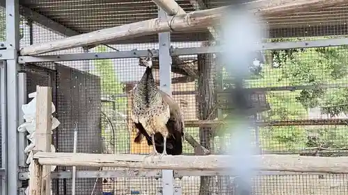 神明宮(栃木県)