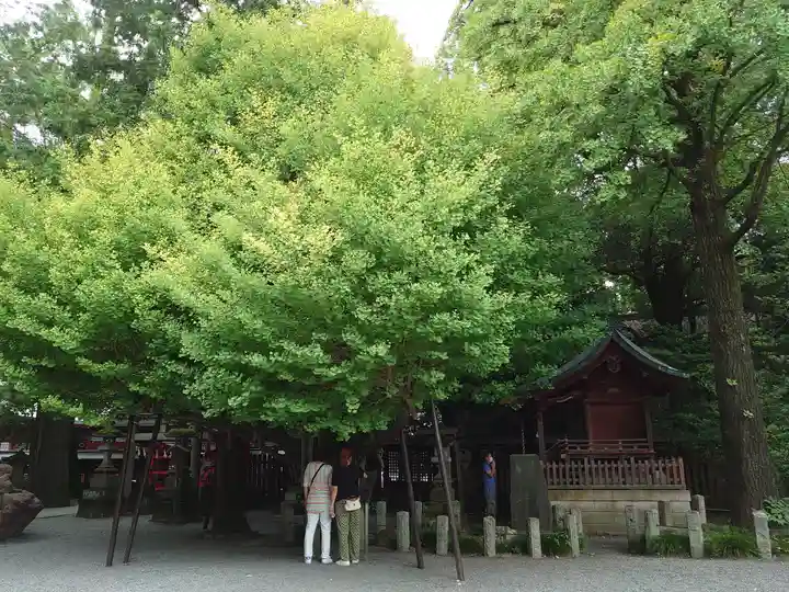 秩父神社の自然