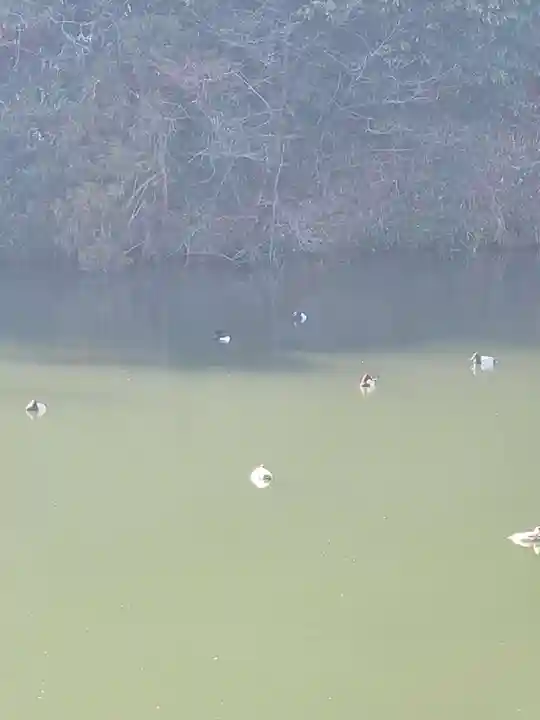正法寺(京都府)
