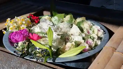 上野東照宮の手水舎