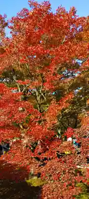 東福禅寺(東福寺)(京都府)