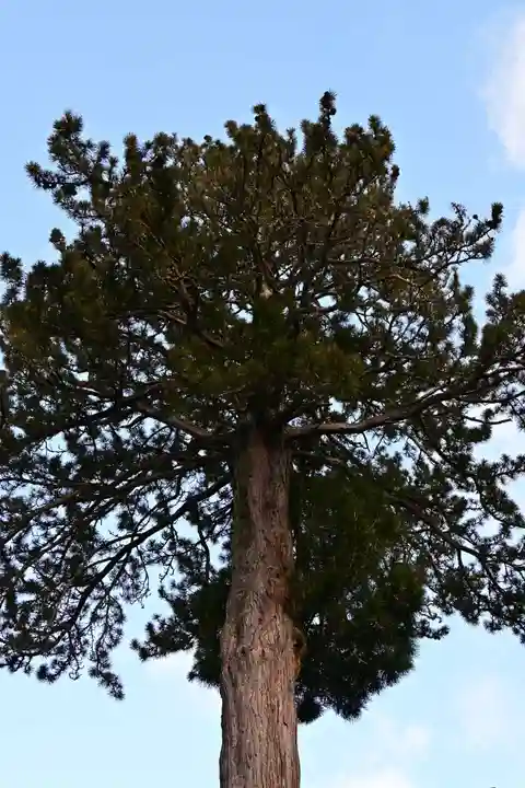 浄専寺(宮崎県)