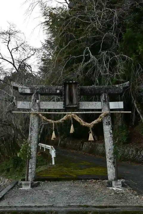 善福寺(山田薬師)(愛媛県)