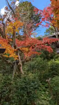 光明寺（粟生光明寺）(京都府)