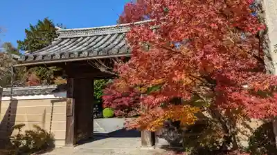 神光院(京都府)