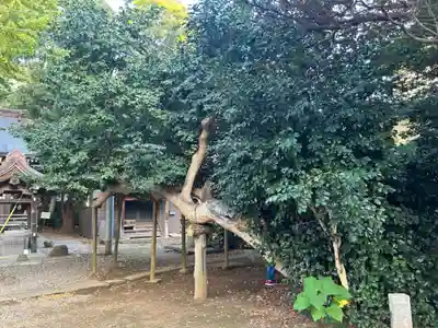 印内八坂神社(千葉県)