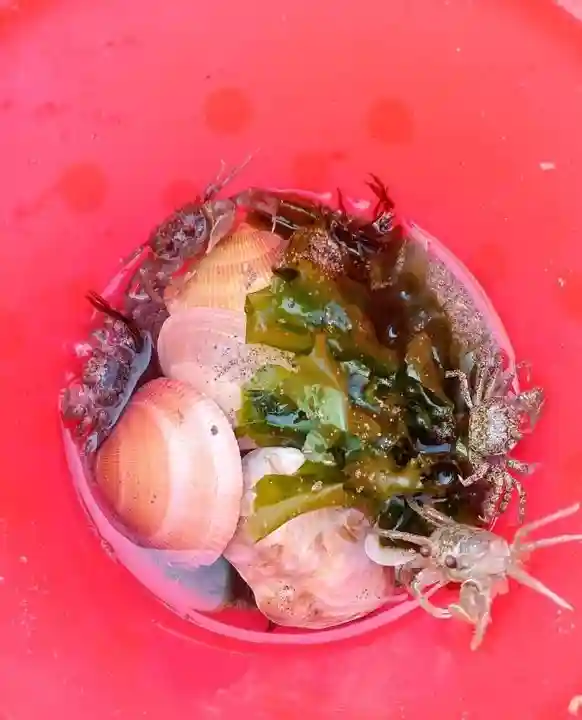 白狐山光星寺(山形県)