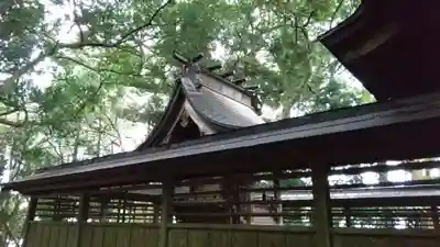 八幡神社の本殿・本堂