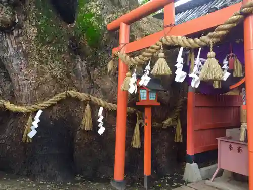 三島神社の鳥居