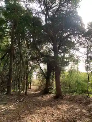 熊野神社(千葉県)