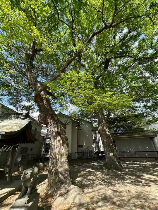 青渭神社(東京都)