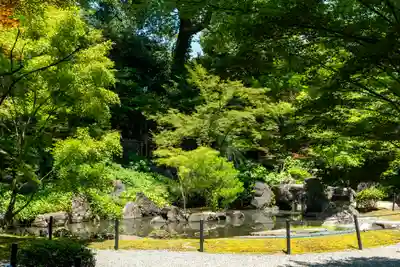 長岡天満宮(京都府)