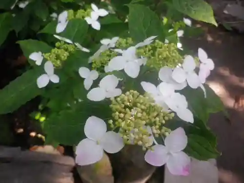 御霊神社の自然