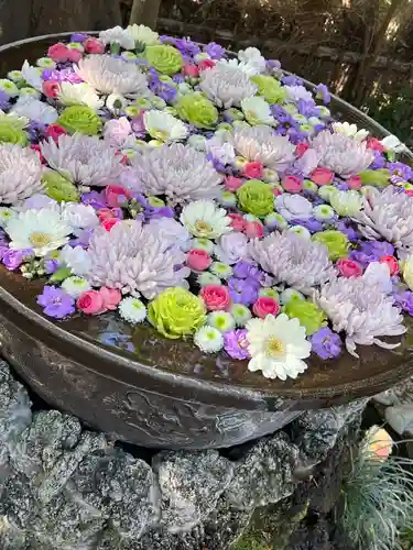 武蔵一宮氷川神社(埼玉県)