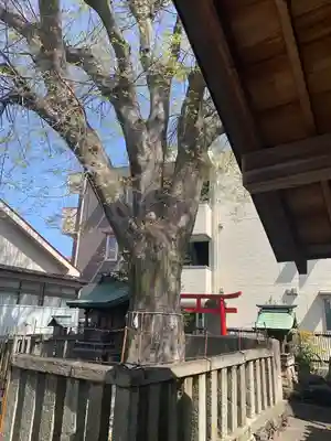 天王坊稲荷神社(岐阜県)