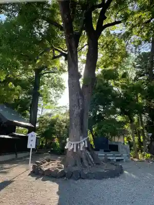 玉村八幡宮(群馬県)