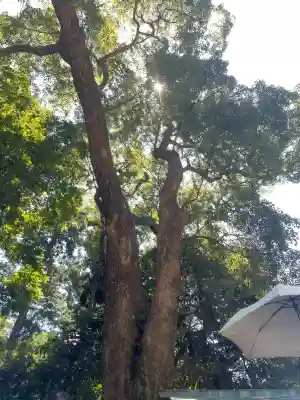 久能山東照宮(静岡県)