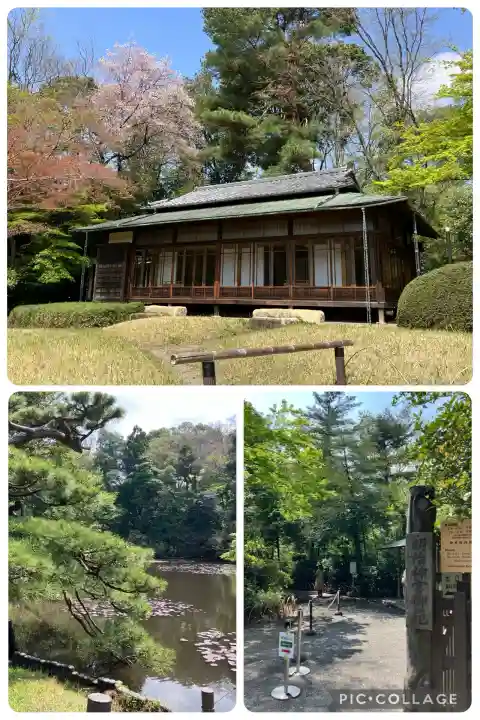 明治神宮(東京都)