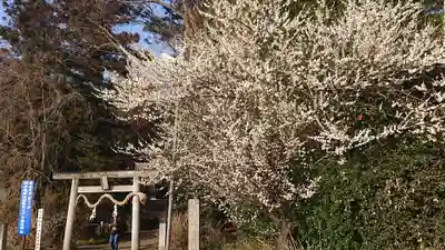 下野 星宮神社のその他建物