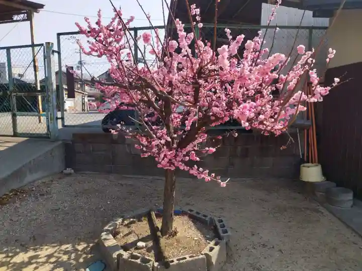 阿麻美許曽神社(大阪府)
