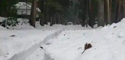 平泉寺白山神社(福井県)