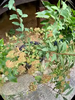 極楽寺(京都府)