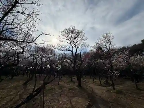 谷保天満宮の{uncategorized: "未分類", other: "その他", undefined: "問題あり", building: "その他建物", grave: "お墓", sacred_gate: "鳥居", guardian: "狛犬", statue: "像", buddha: "仏像", history: "歴史", nature: "自然", garden: "庭園", animal: "動物", pagoda: "塔", temizu: "手水舎", mountain_gate: "山門・神門", sanctuary: "本殿・本堂", subordinate: "末社・摂社", art: "芸術", scenery: "景色", jizo: "地蔵", ema: "絵馬", goshuin: "御朱印", omikuji: "おみくじ", items: "授与品その他", amulet: "お守り", goshuincho: "御朱印帳", eats: "食事", festival: "お祭り", votive_dance: "神楽", shichigosan: "七五三参", wedding: "結婚式", experience: "体験その他", initially: "初詣", around: "周辺", anti_infection: "感染症対策"}
