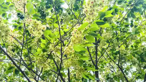 織田神社(福井県)