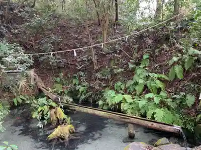 熊野神社の自然