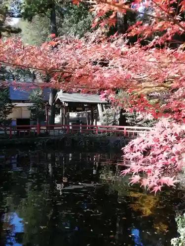 間々田八幡宮の庭園