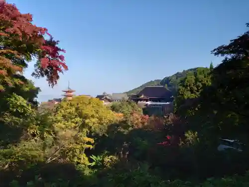 清水寺の景色