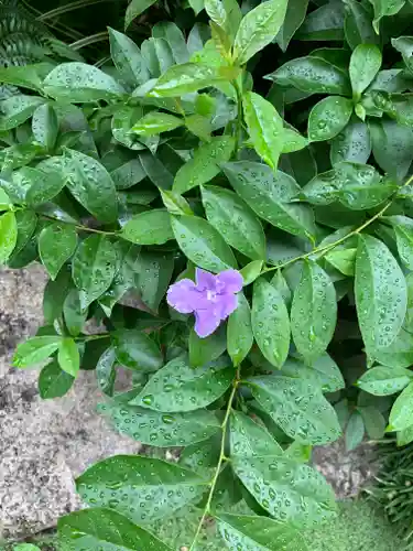 豊受稲荷本宮の庭園