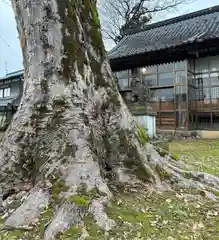 愛宕神社(福井県)