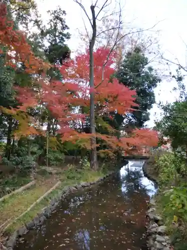 玉村八幡宮の景色